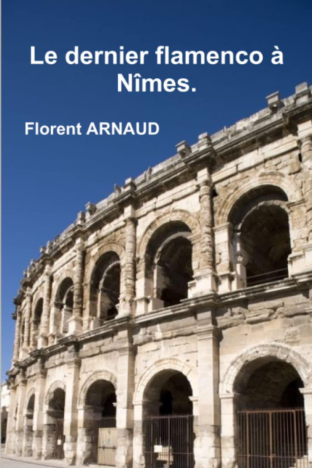 Le dernier flamenco à Nîmes. book