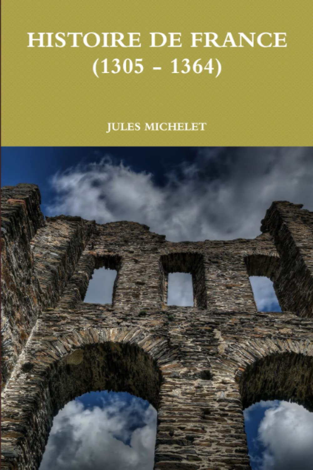 HISTOIRE DE FRANCE (1305 : 1364) book