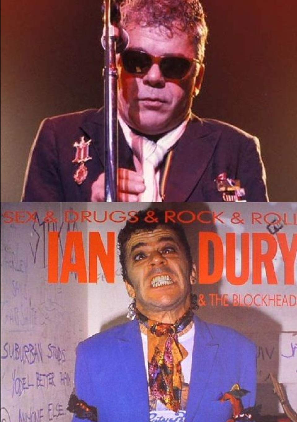 IAN DURY & THE BLOCKHEADS : SEX & DRUGS & ROCK & ROLL book