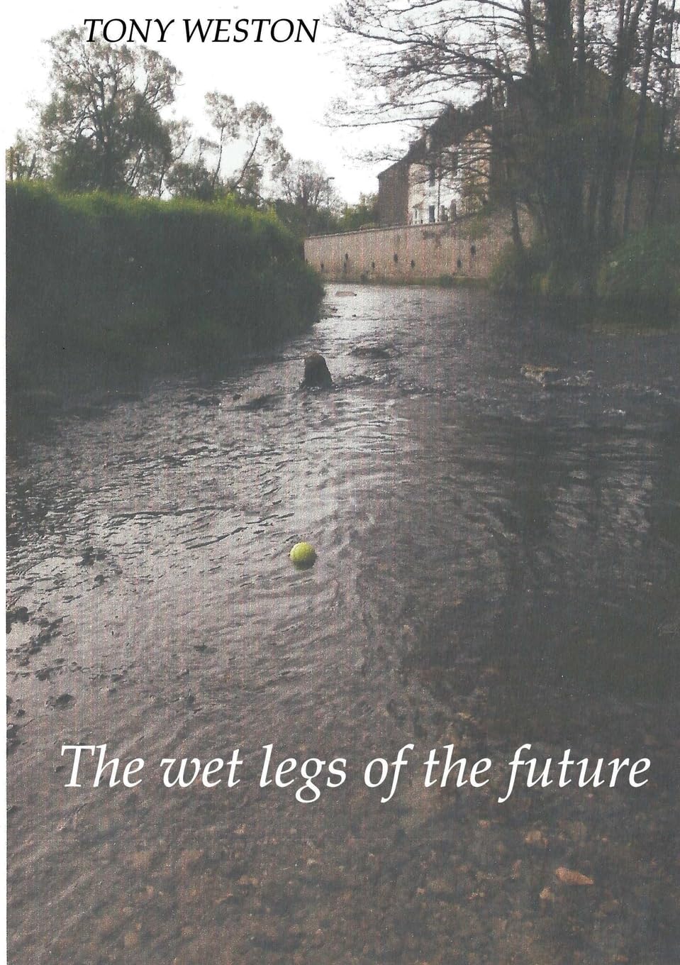 THE WET LEGS OF THE FUTURE Poetry