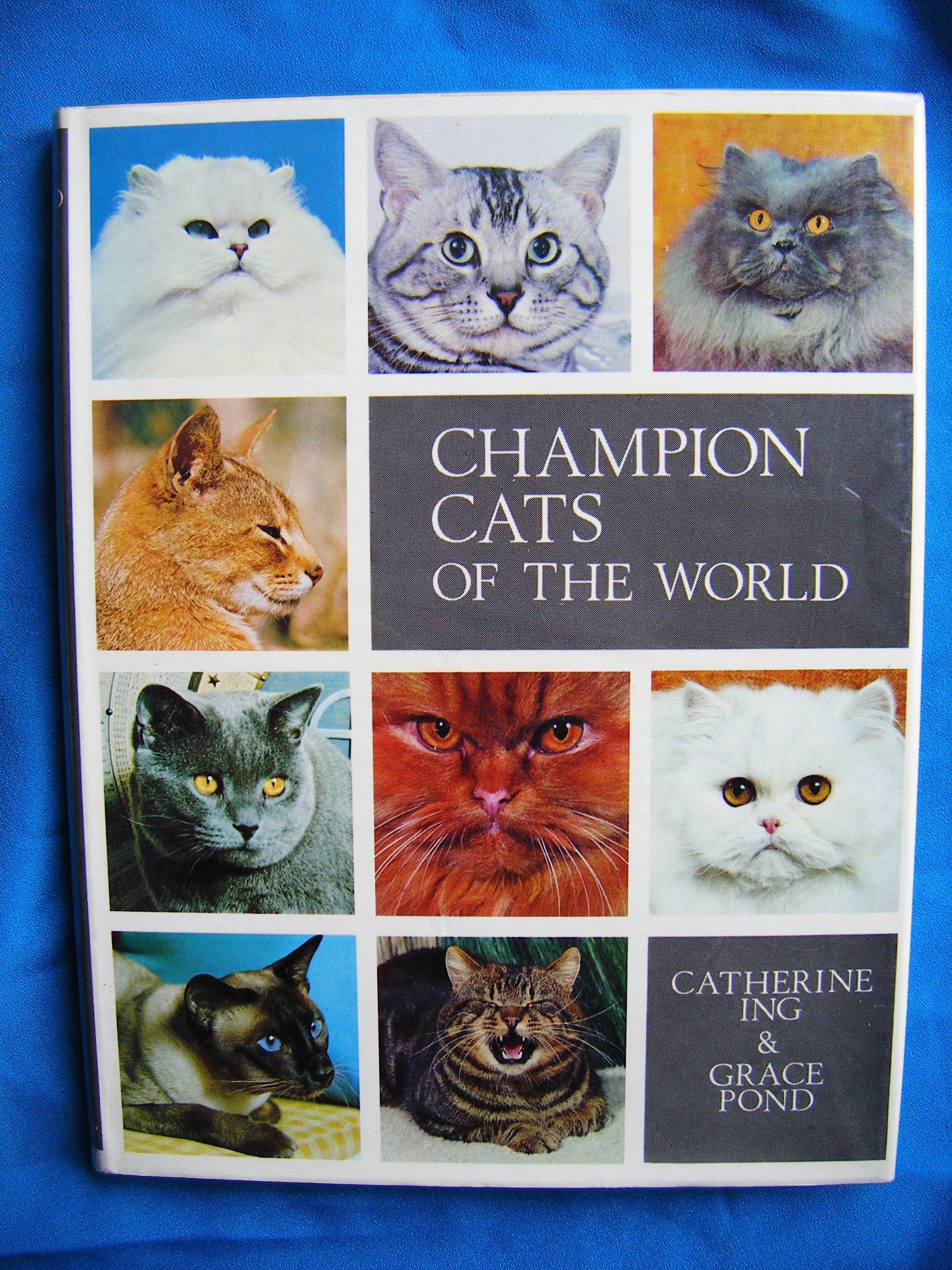 Champion Cats of the World book