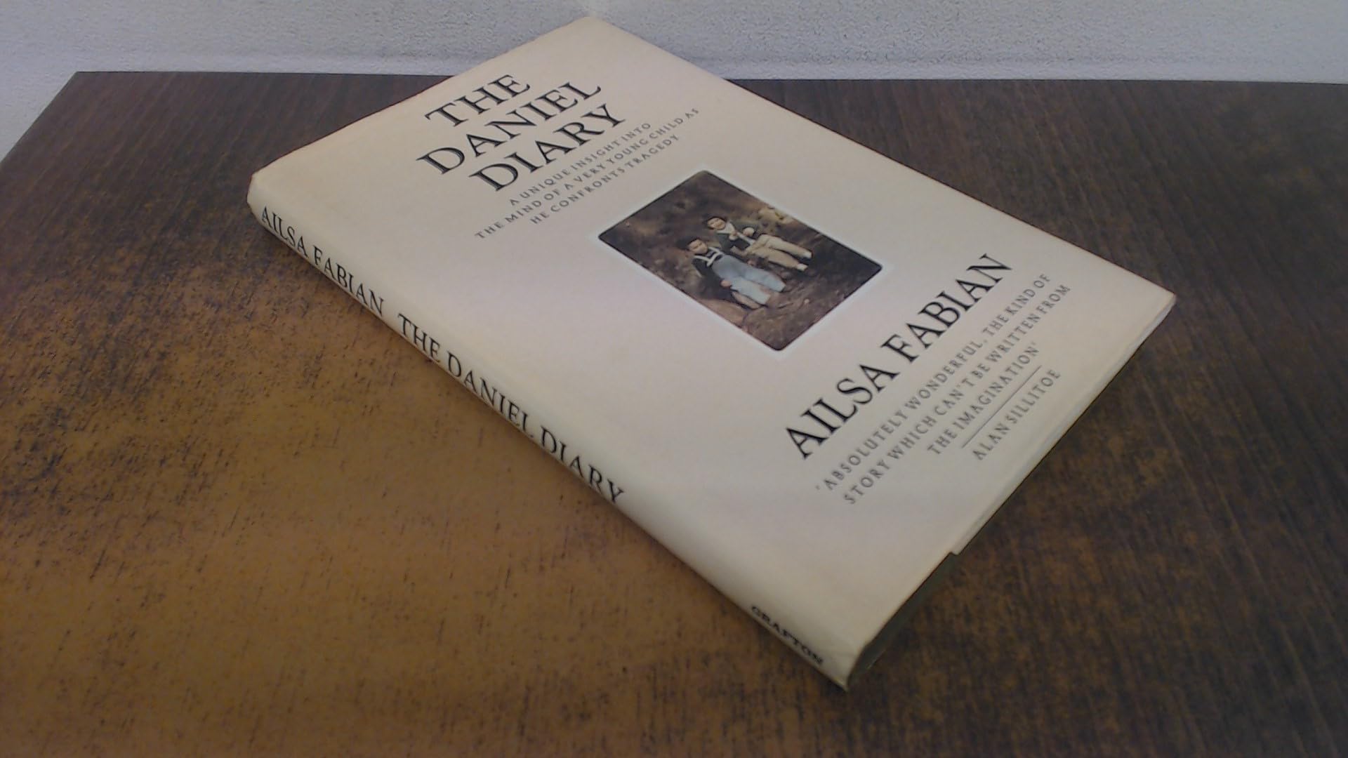 The Daniel Diary book