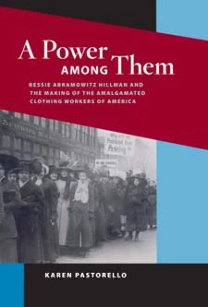 A Power among Them: Bessie Abramowitz Hillman and the Making of the Amalgamated Clothing: Bessie Abramowitz Hillman and the Making of the Amalgamated ... (The Working Class in American History) Social Sciences
