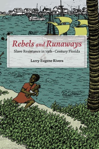 Rebels and Runaways: Slave Resistance in Nineteenth-Century Florida (New Black Studies) Social Sciences