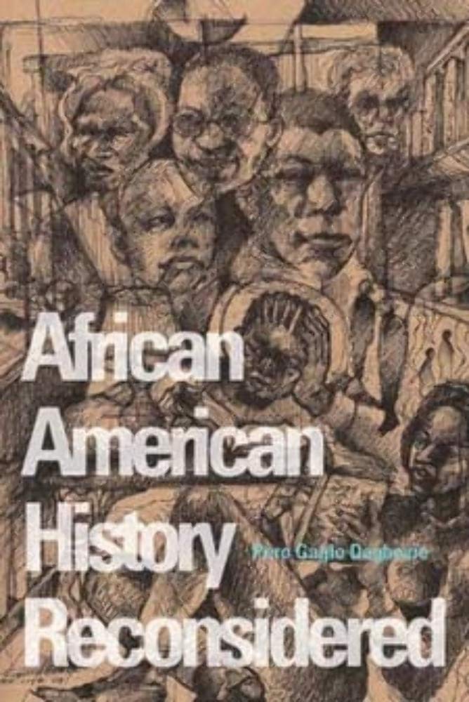 African American History Reconsidered book