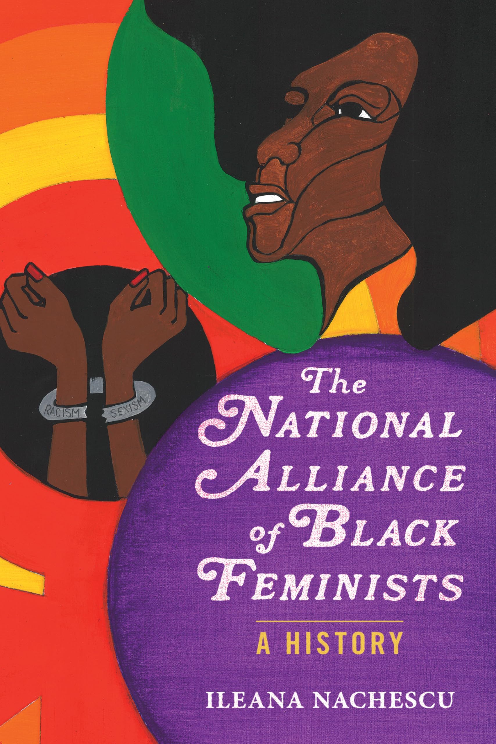 The National Alliance of Black Feminists: A History (Women, Gender, and Sexuality in American History) Books