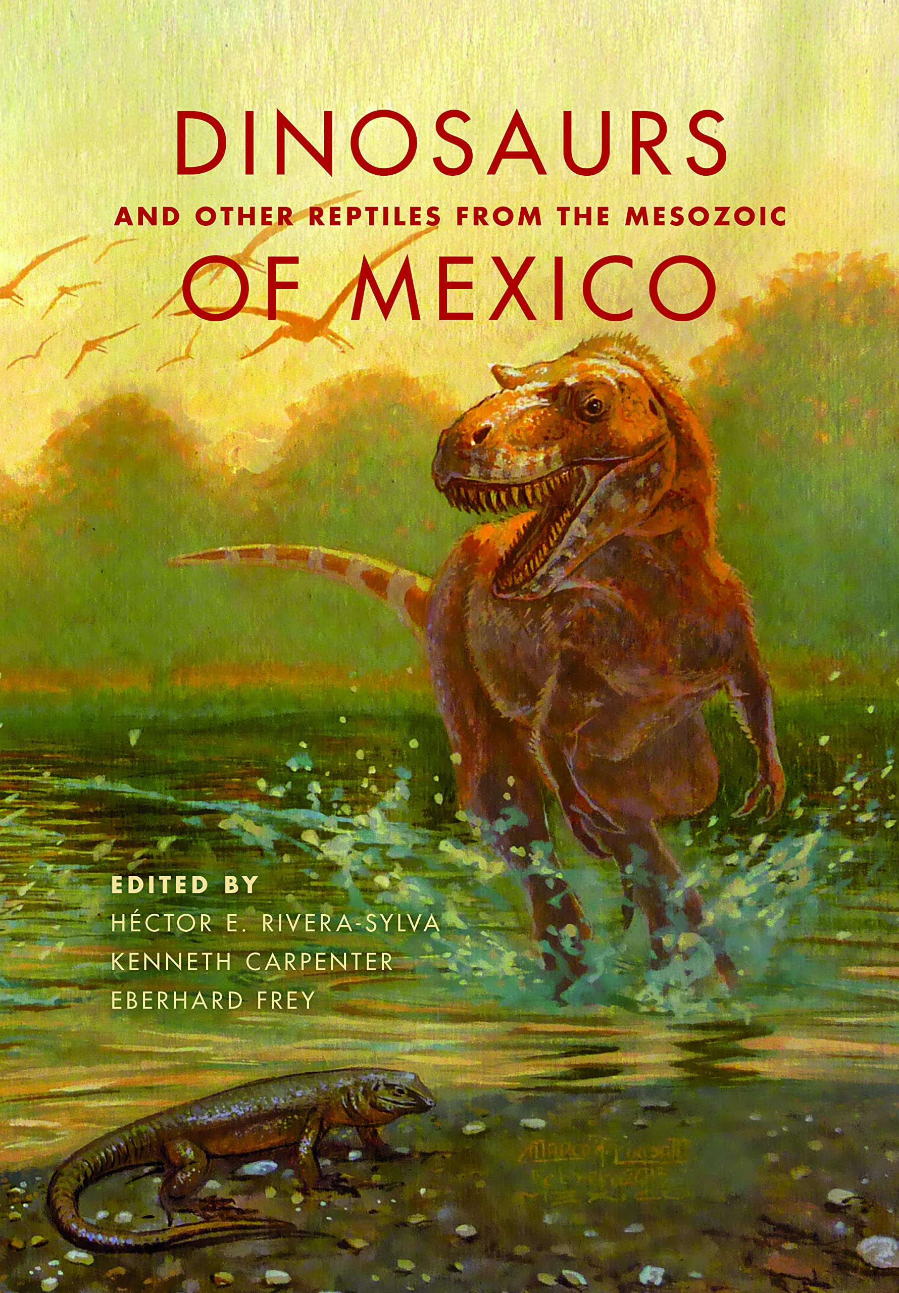 Dinosaurs and Other Reptiles from the Mesozoic of Mexico (Life of the Past) Mathematics