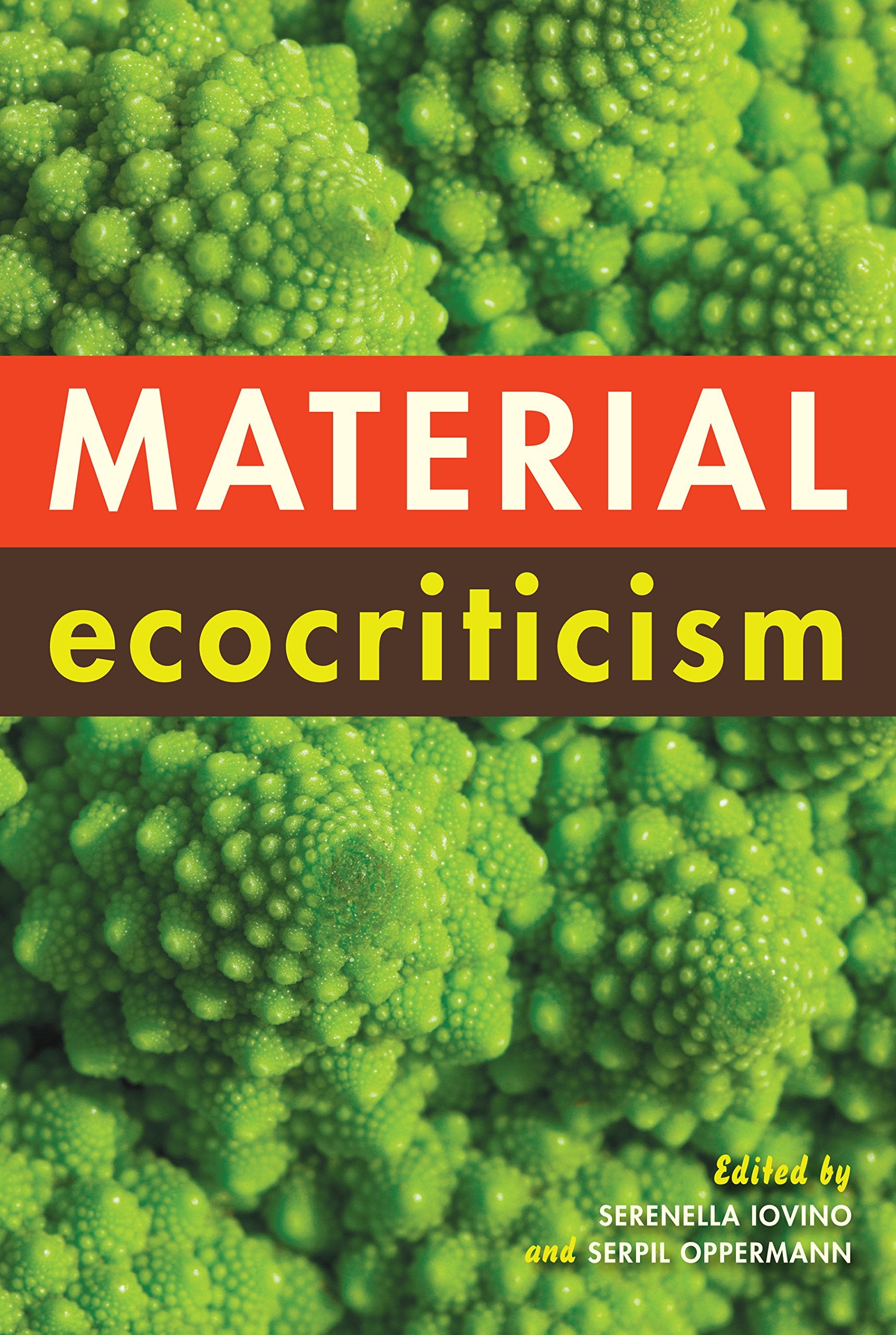 Product Image: Material Ecocriticism