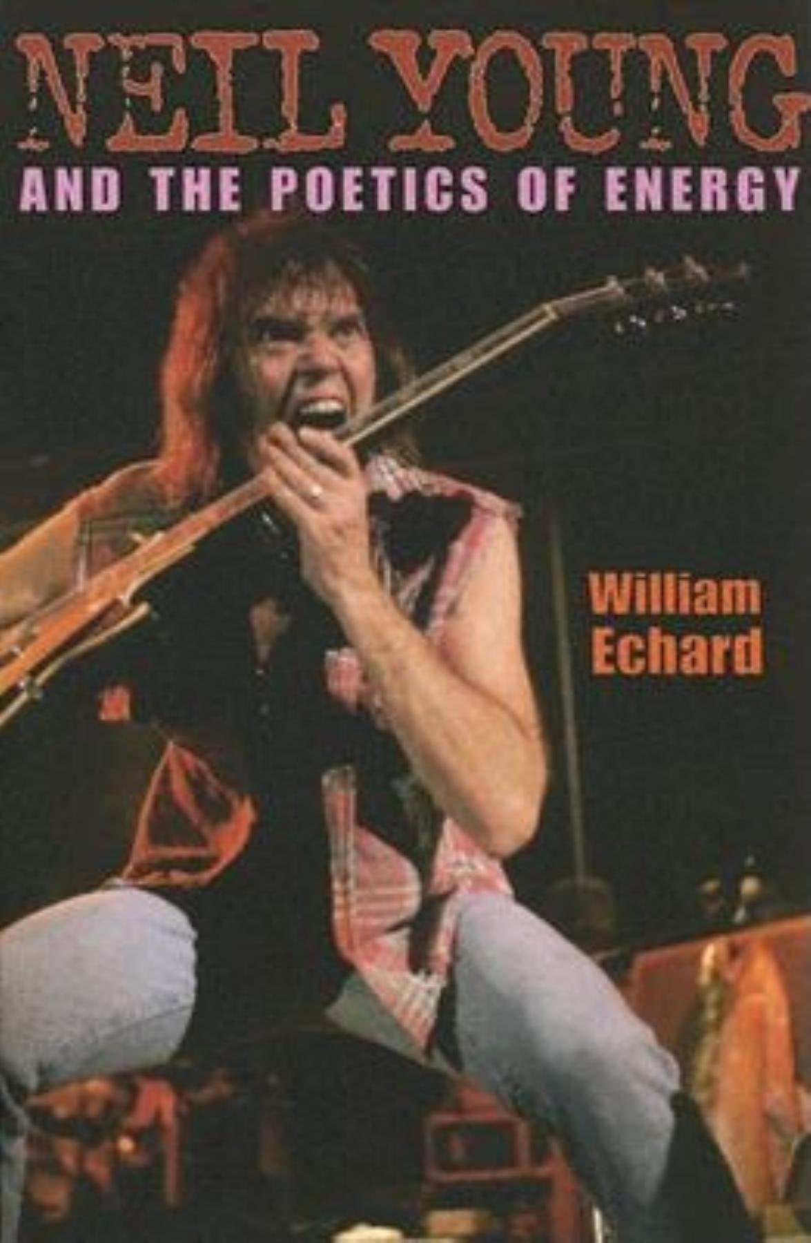 Neil Young and the Poetics of Energy (Musical Meaning and Interpretation; Profiles in Popular Music) Pop culture