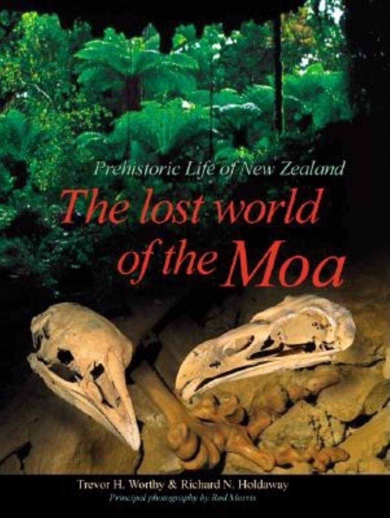 The Lost World of the Moa: Prehistoric Life of New Zealand (Life of the Past) Mathematics