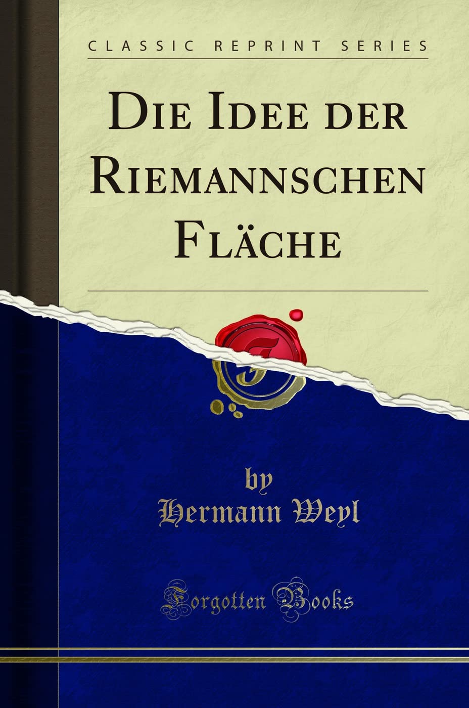 Die Idee der Riemannschen Fläche (Classic Reprint) Social Sciences