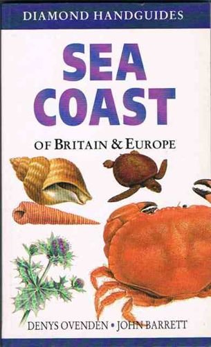The Sea Coast of Britain and Europe Mathematics