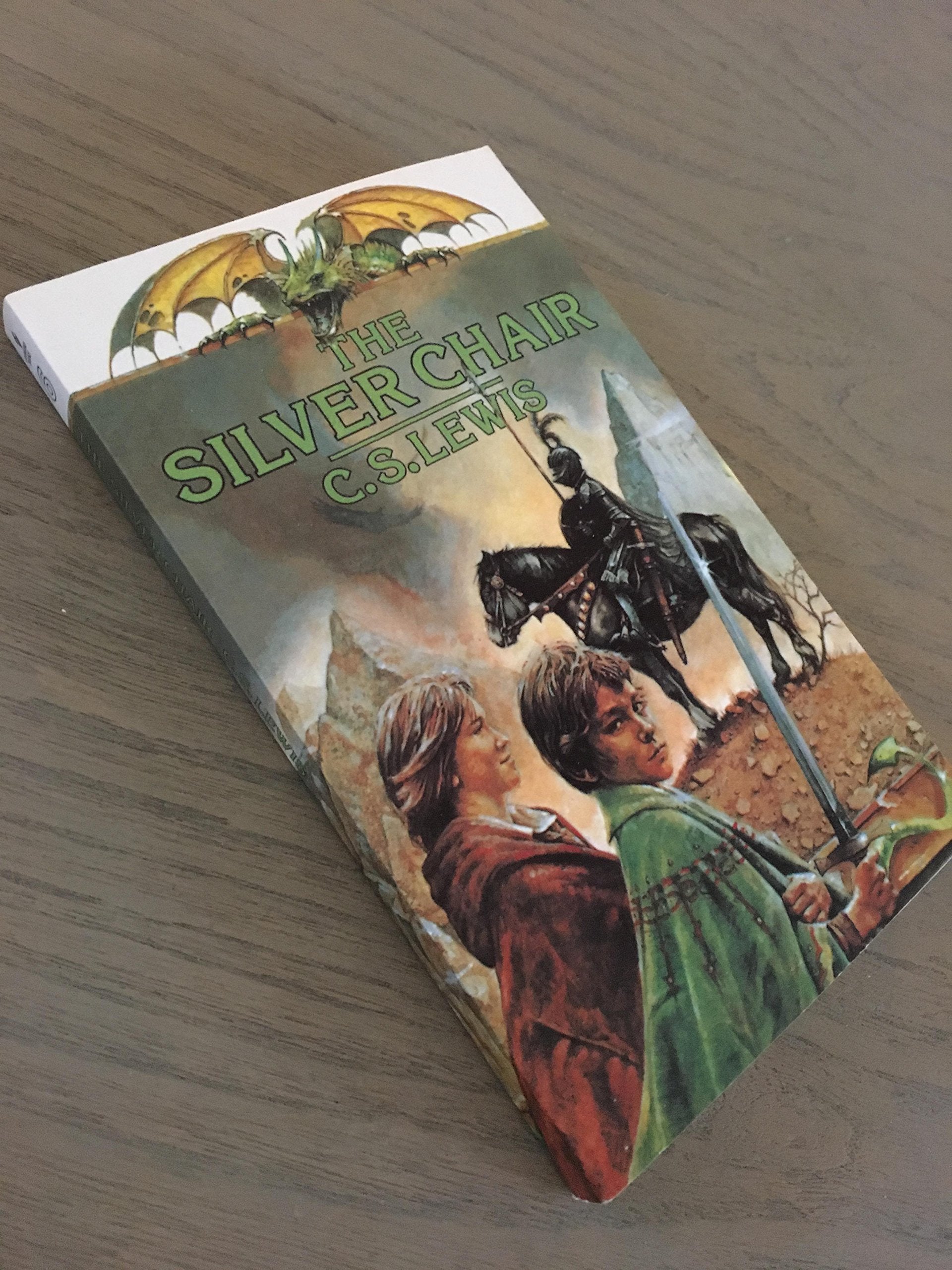 The Silver Chair Books