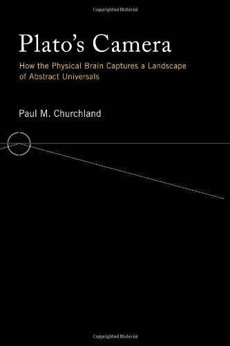 Plato's Camera: How the Physical Brain Captures a Landscape of Abstract Universals book