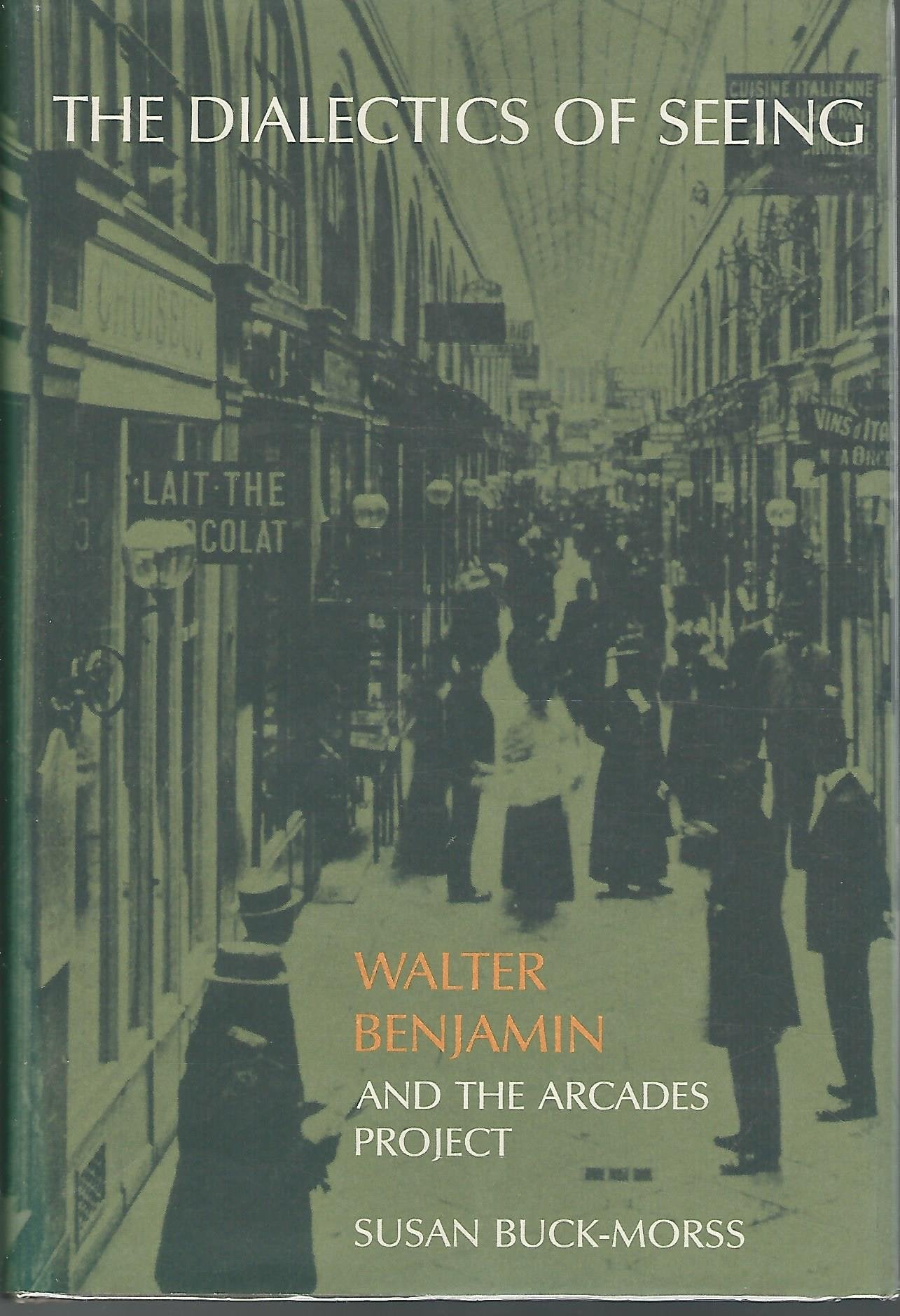 The Dialectics of Seeing: Walter Benjamin and the Arcades Project book