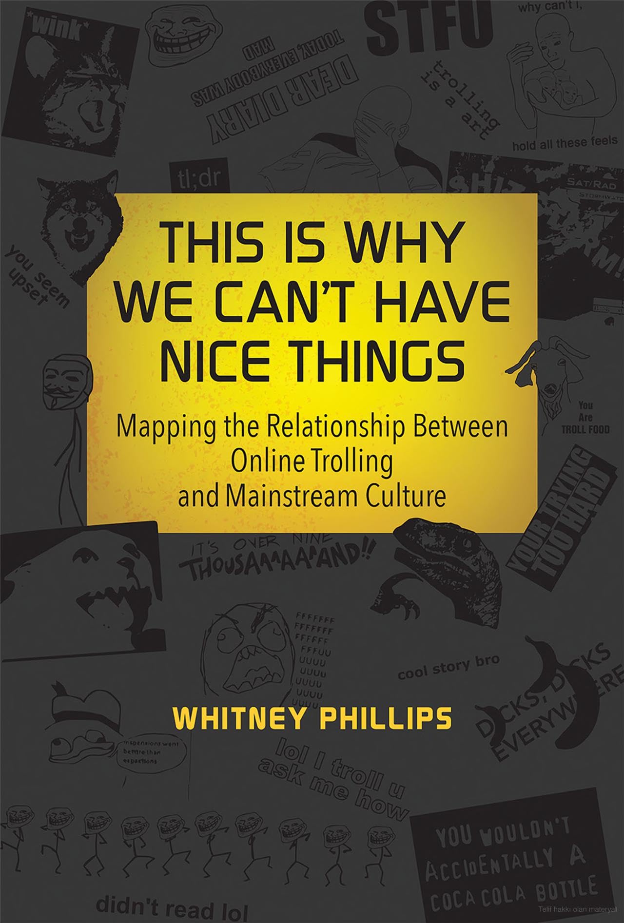 This Is Why We Can't Have Nice Things: Mapping the Relationship between Online Trolling and Mainstream Culture (Information Society Series) Law