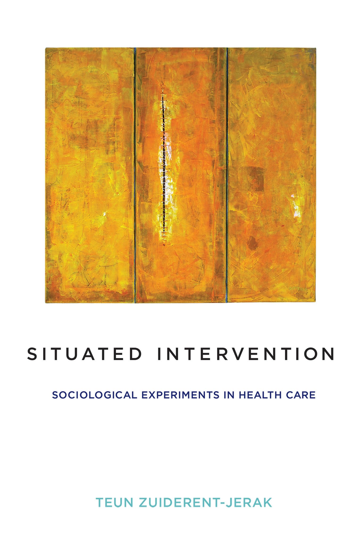 Situated Intervention: Sociological Experiments in Health Care (Inside Technology) Medicine