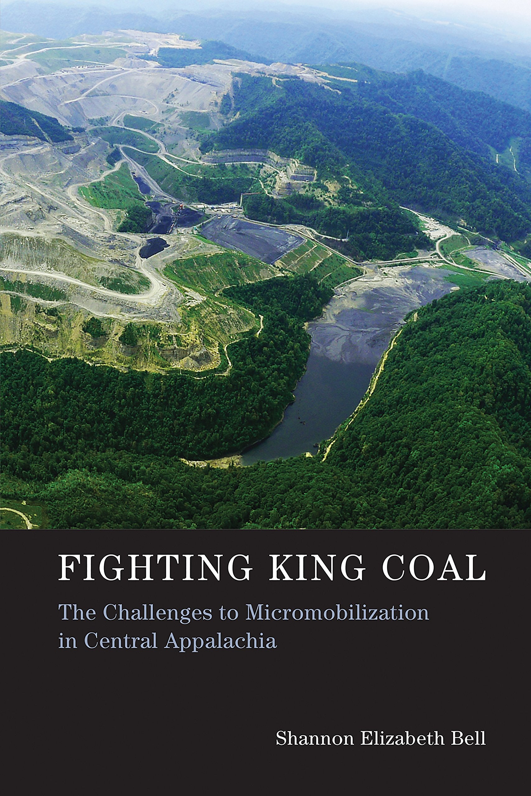 Fighting King Coal: The Challenges to Micromobilization in Central Appalachia (Urban and Industrial Environments) Law