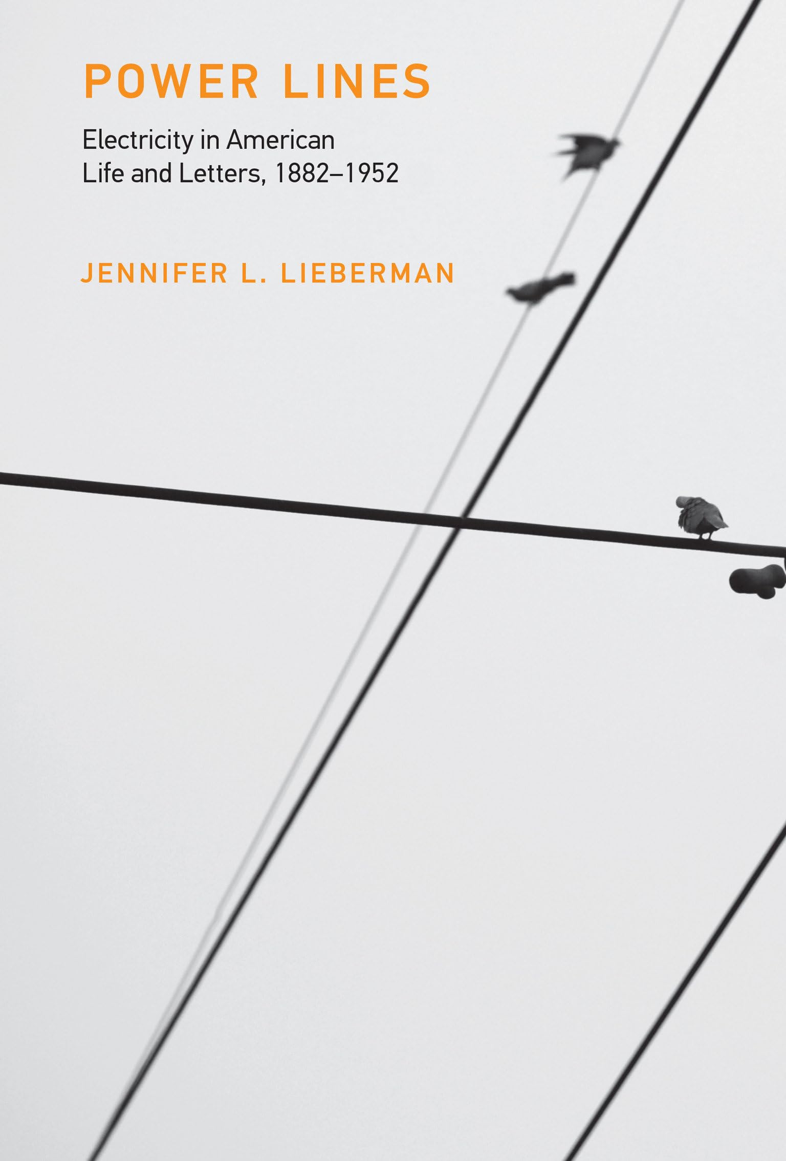 Power Lines: Electricity in American Life and Letters, 1882-1952 (Inside Technology) Contemporary literature