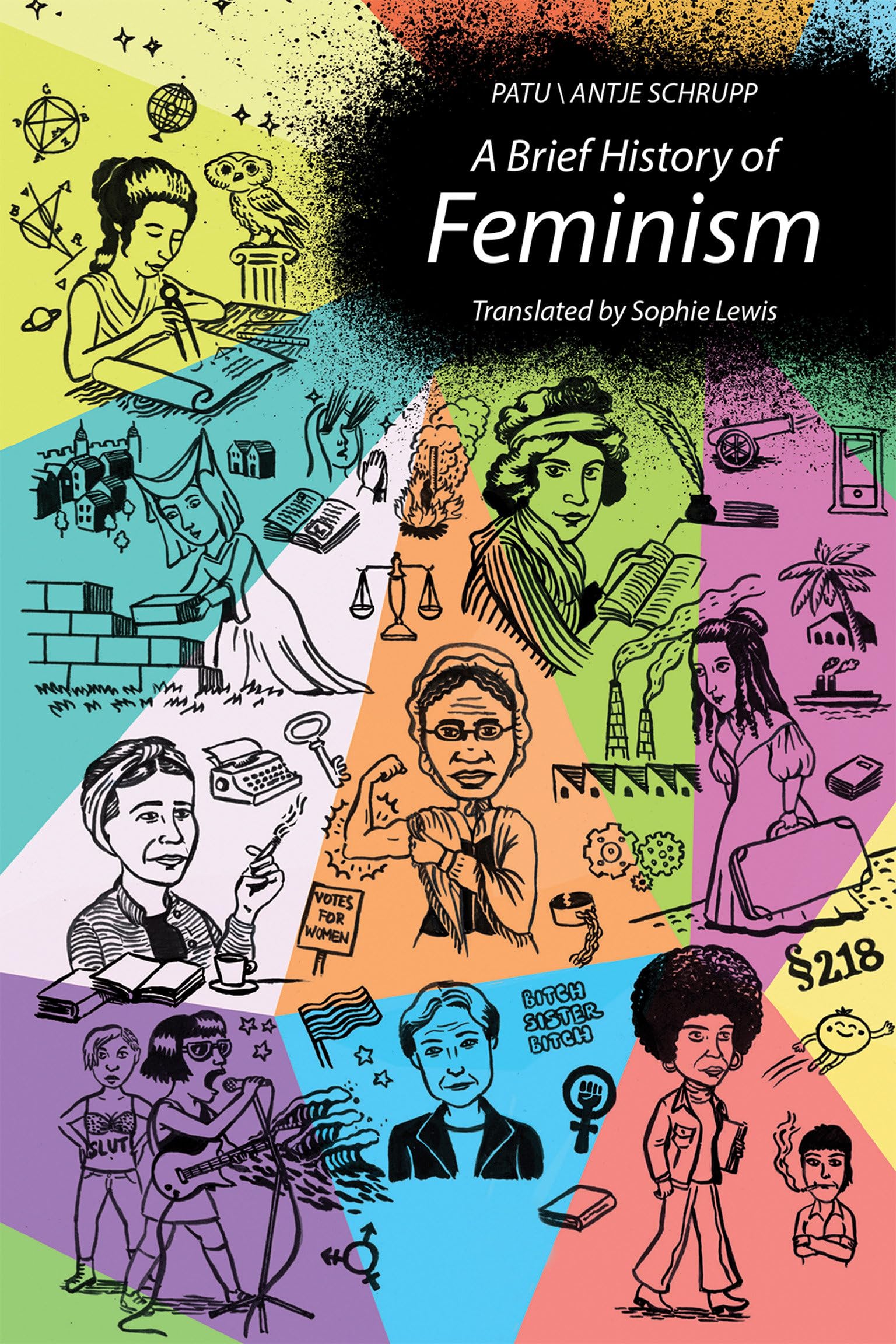 A Brief History of Feminism (The MIT Press) Books