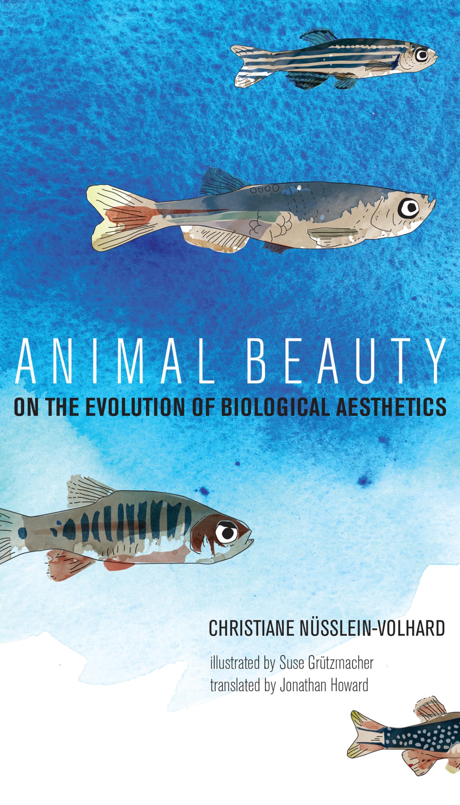 Animal Beauty: On the Evolution of Biological Aesthetics (Mit Press) Mathematics