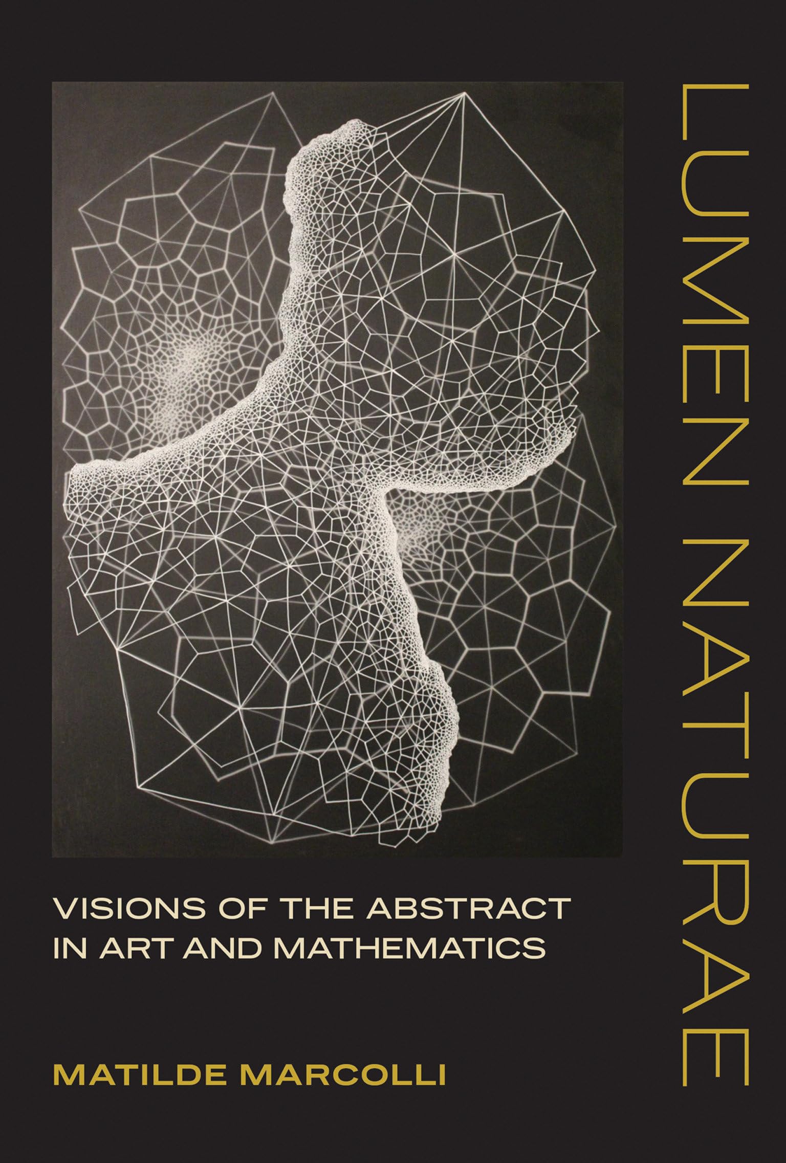 Lumen Naturae: Visions of the Abstract in Art and Mathematics book