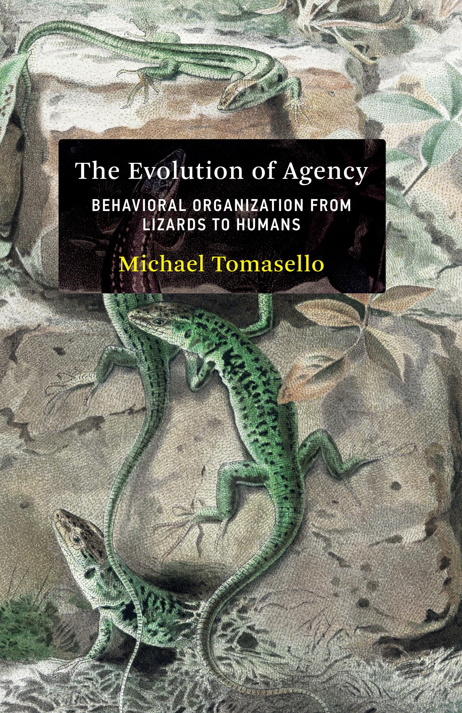 Product Image: The Evolution of Agency
