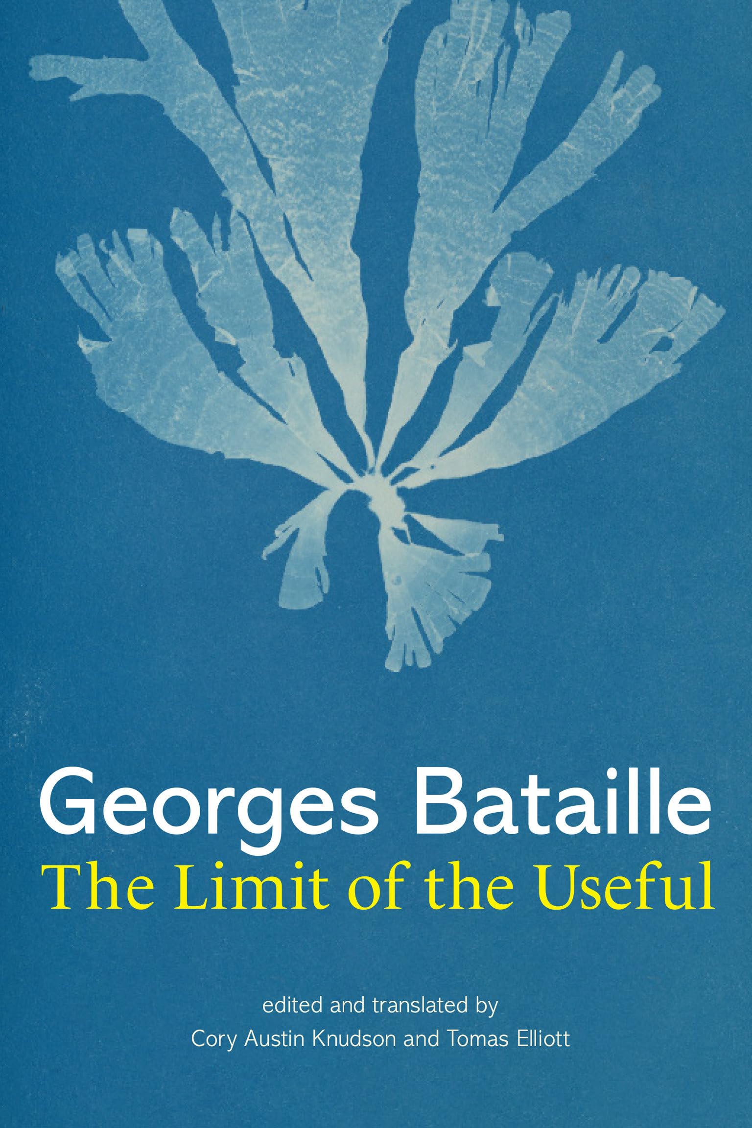 The Limit of the Useful Philosophy