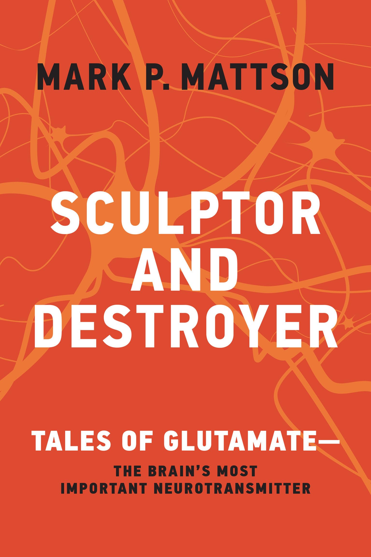 Sculptor and Destroyer: Tales of Glutamatethe Brain's Most Important Neurotransmitter Medicine