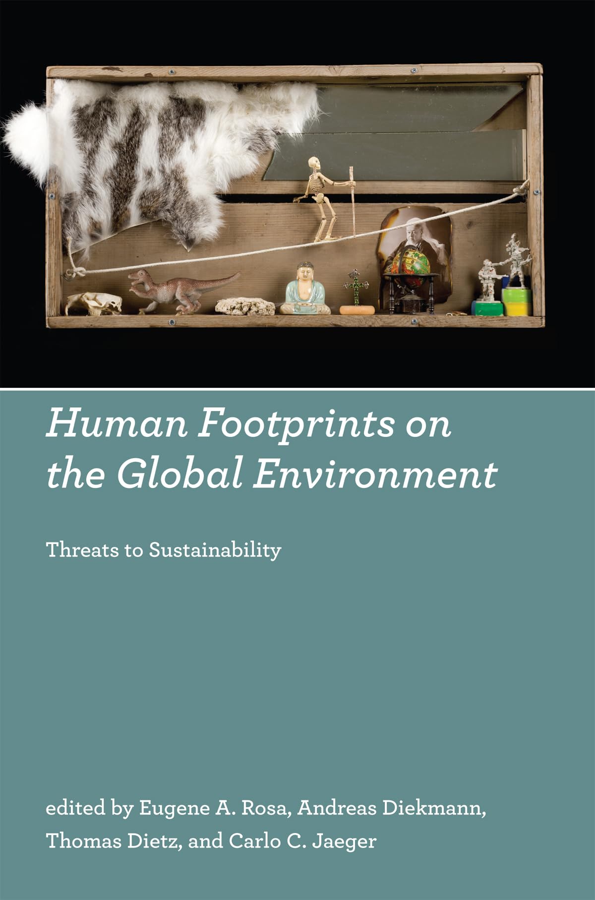 Human Footprints on the Global Environment: Threats to Sustainability (Mit Press) Social Sciences