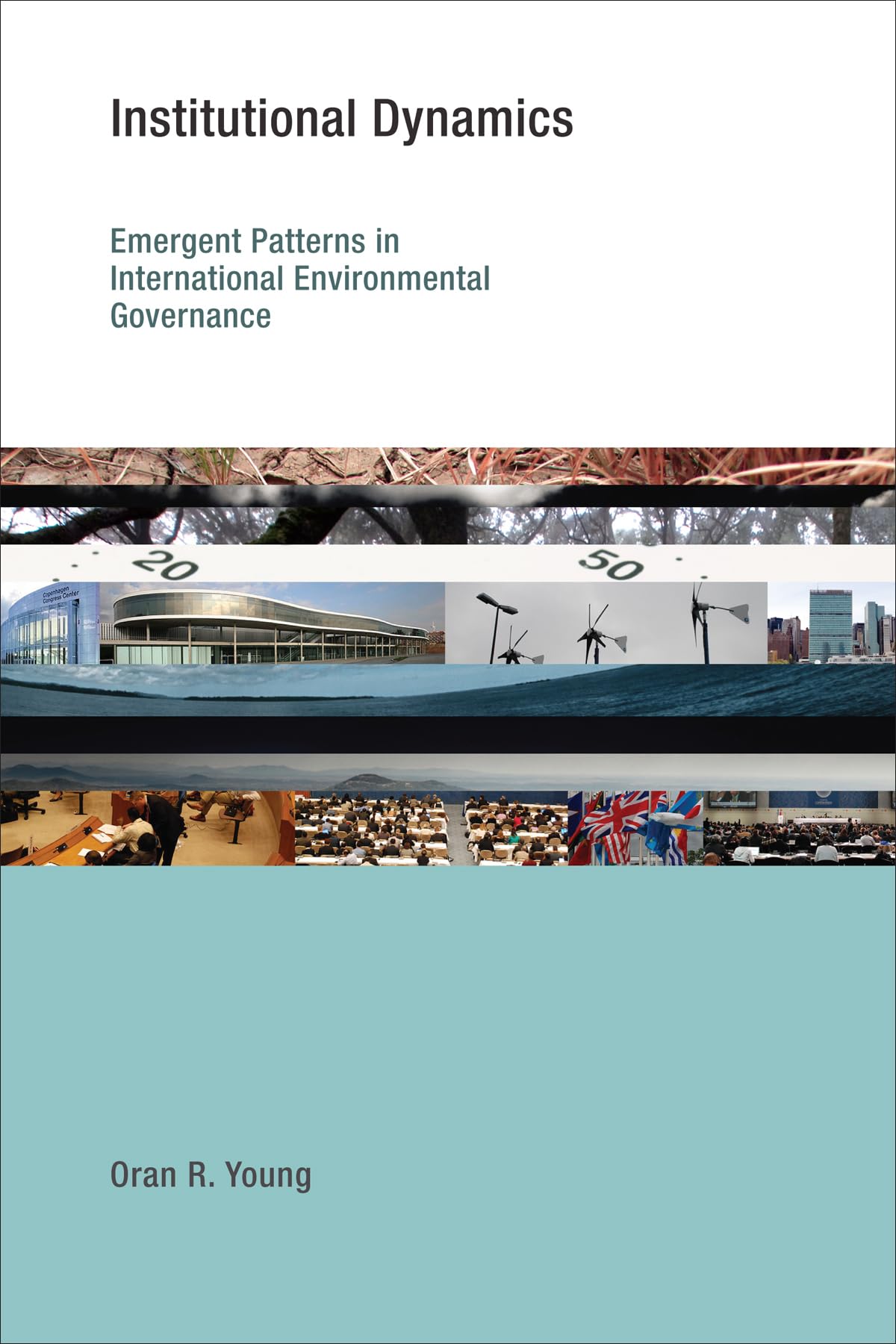 Institutional Dynamics: Emergent Patterns in International Environmental Governance (Earth System Governance) Business & Technology