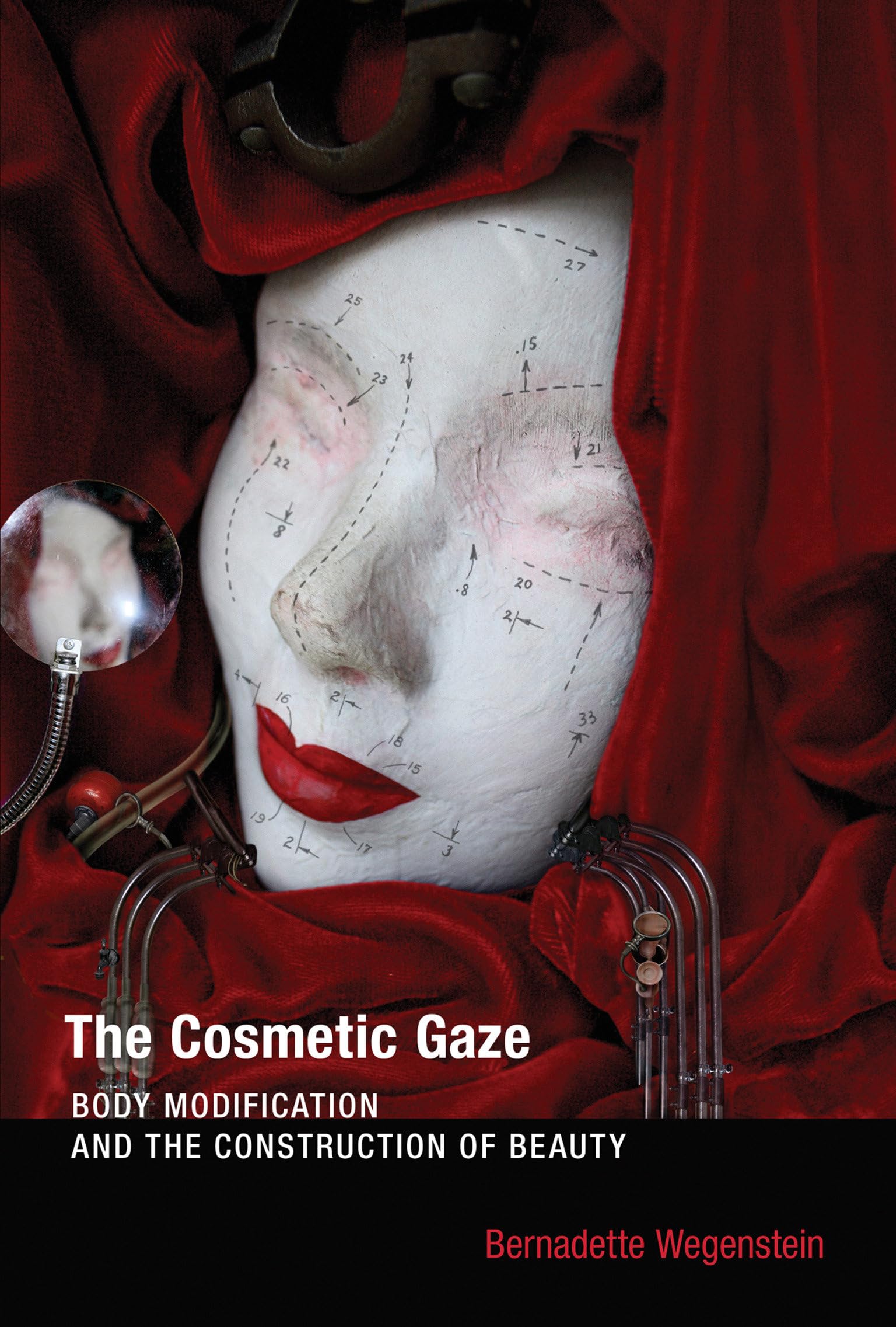 The Cosmetic Gaze: Body Modification and the Construction of Beauty book
