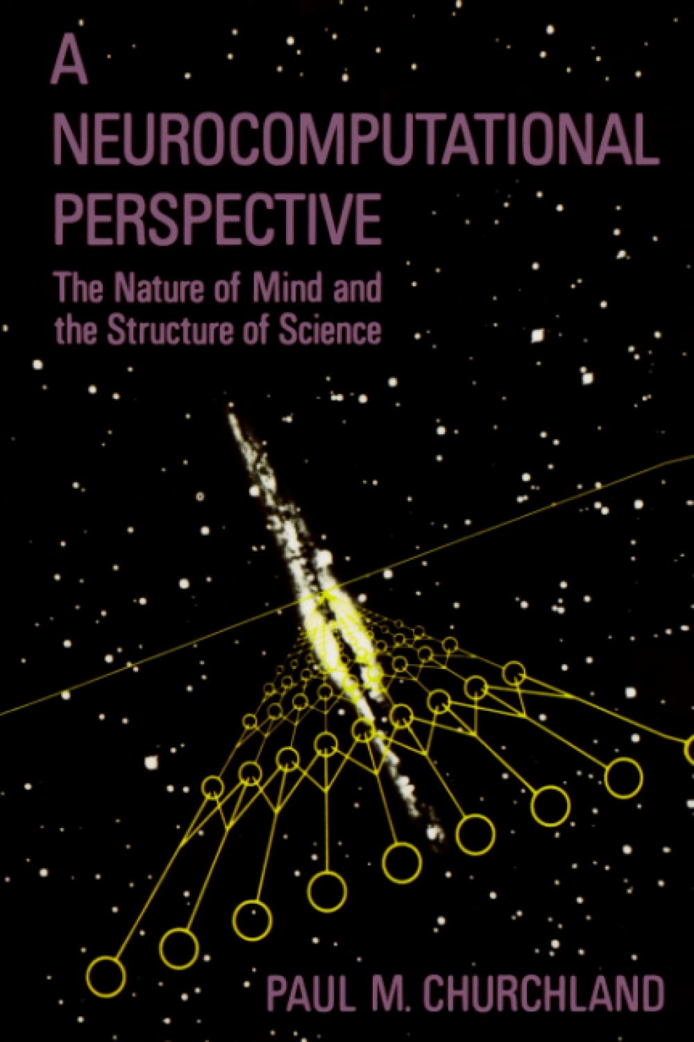 A Neurocomputational Perspective: The Nature of Mind and the Structure of Science (Bradford Books) Psychology