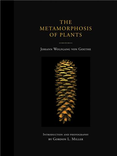 Johann Wolfgang von Goethe The Metamorphosis of Plants Mathematics