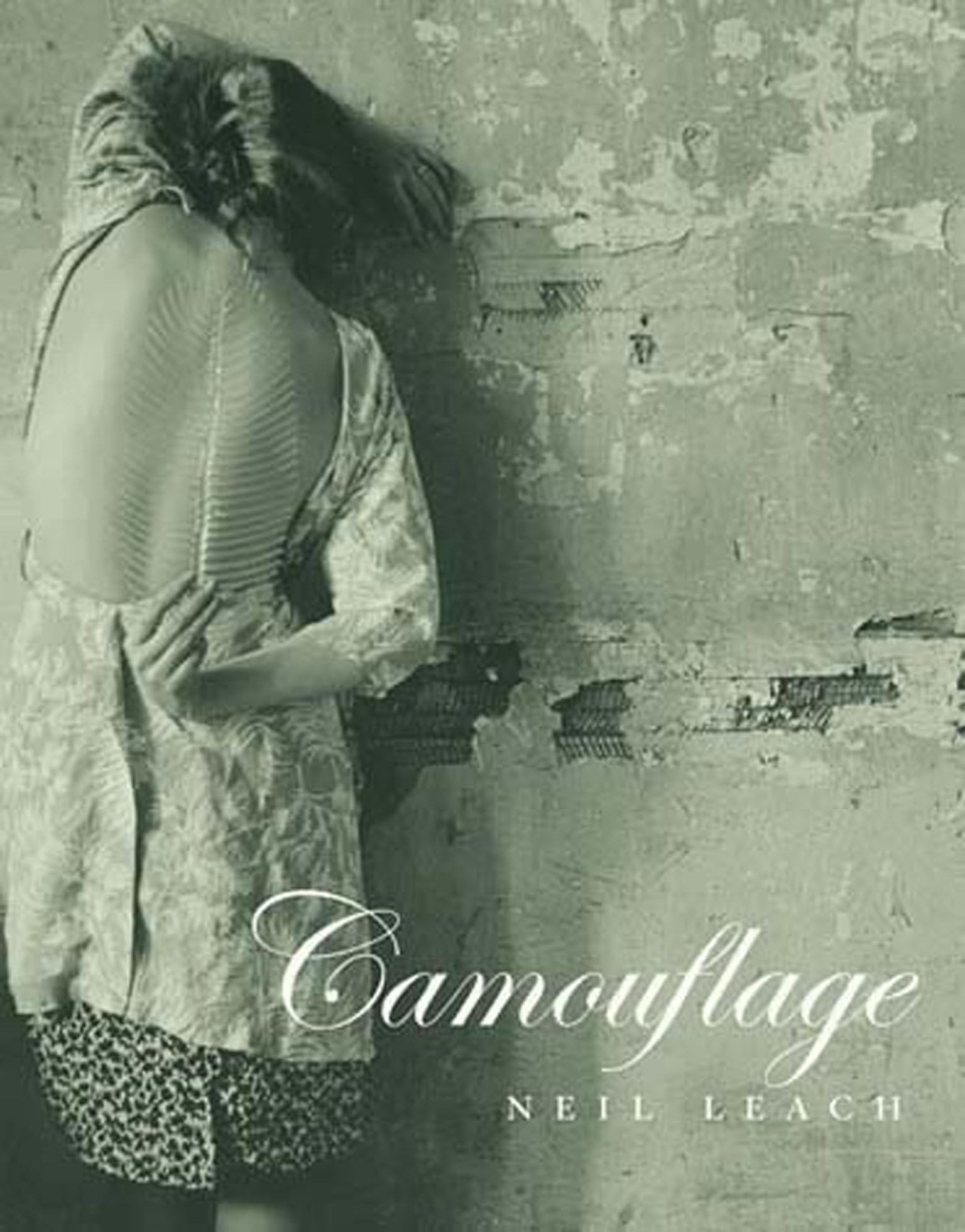 Camouflage Architecture