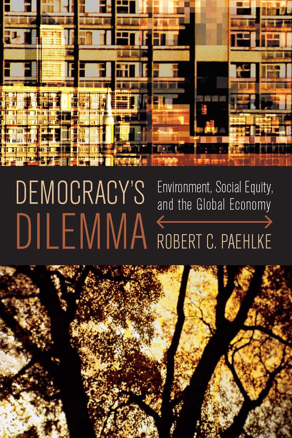 Democracy's Dilemma: Environment, Social Equity, and the Global Economy book