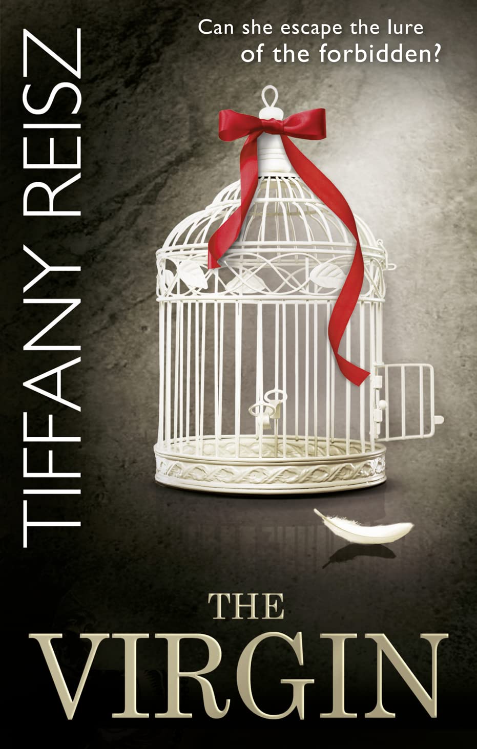 The Original Sinners: The White Years (3) — THE VIRGIN: Don’t miss this spicy BDSM dark romance! Contemporary literature