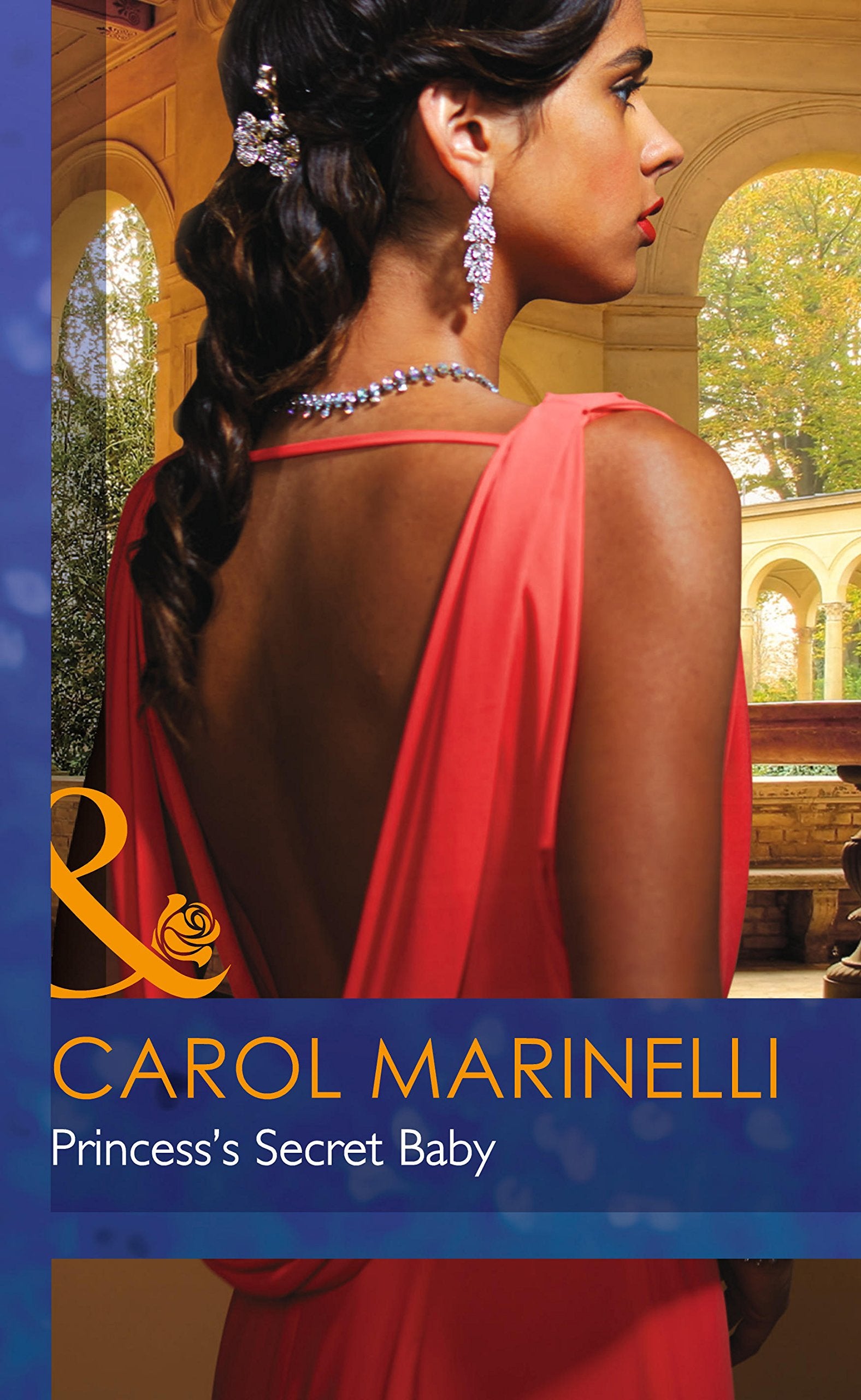 Princess's Secret Baby Contemporary literature