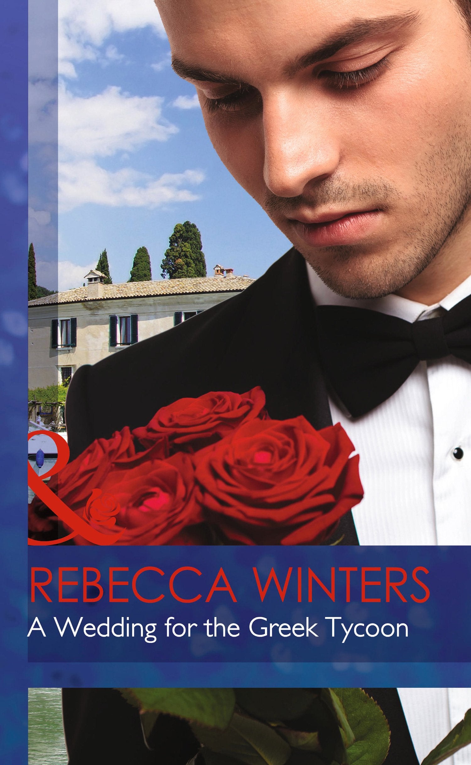 A Wedding for the Greek Tycoon (Mills & Boon Hardback Romance) Contemporary literature