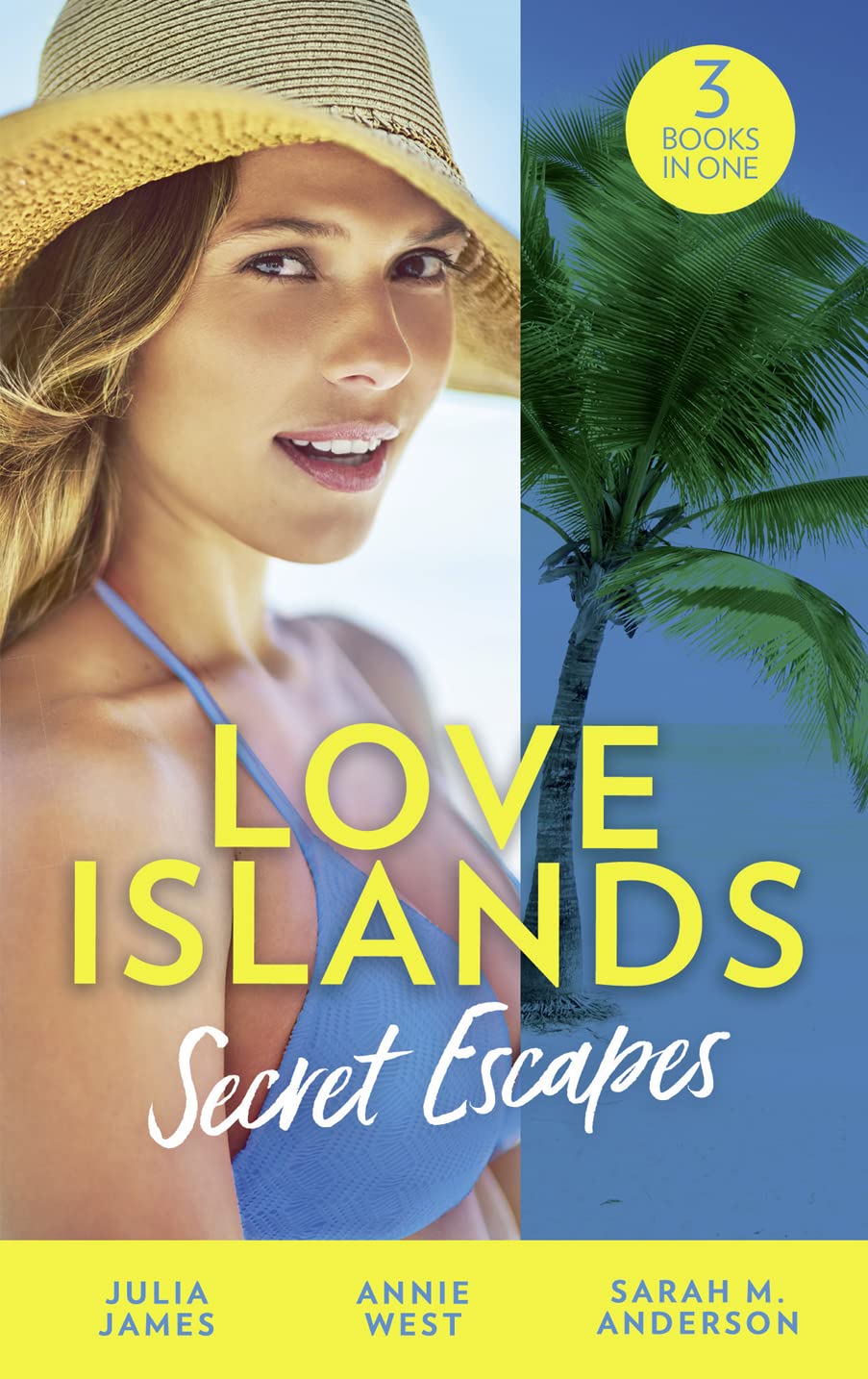 Love Islands: Secret Escapes: A Cinderella for the Greek / the Flaw in Raffaele's Revenge / His Forever Family book
