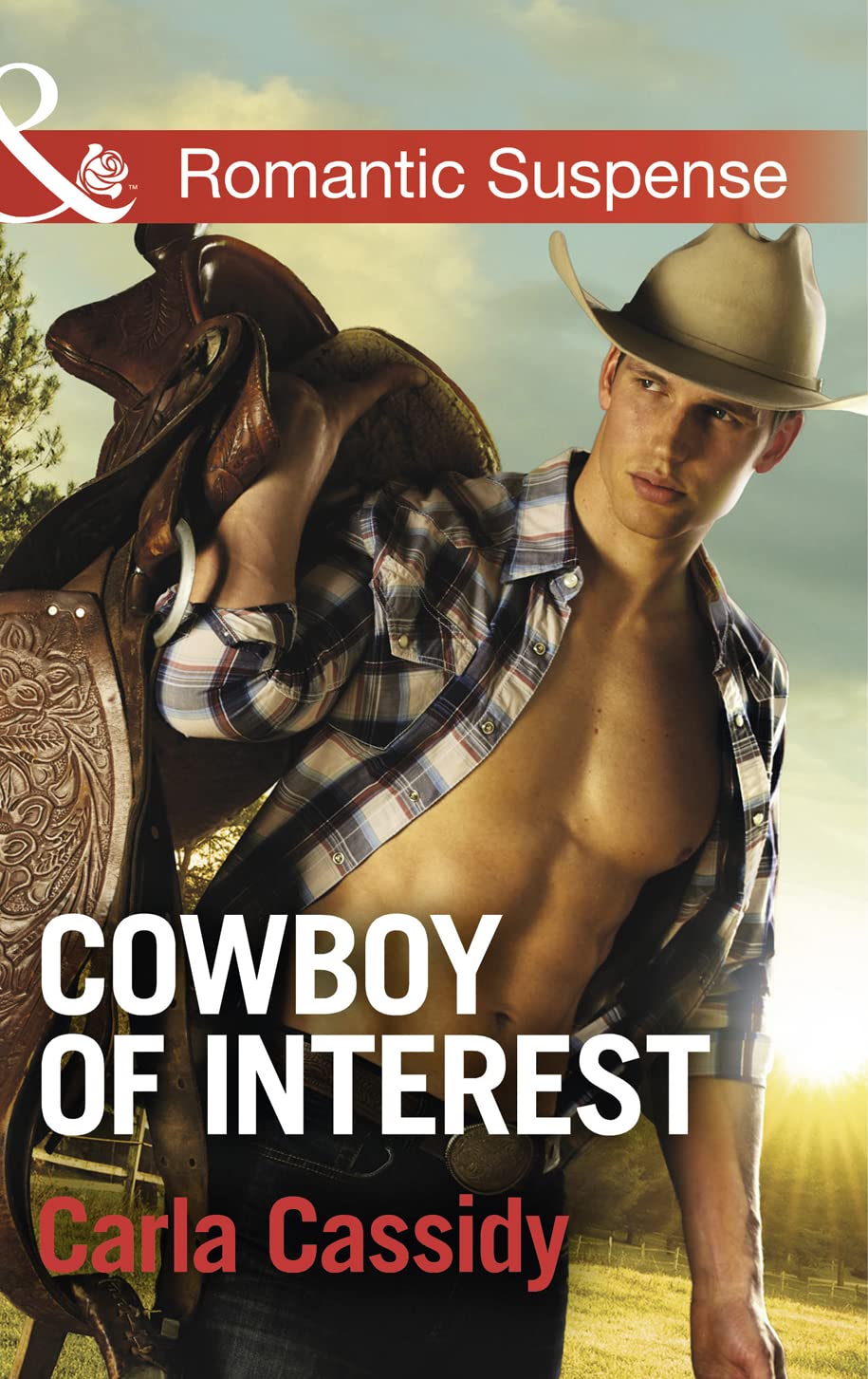 Cassidy, C: Cowboy of Interest (Cowboys of Holiday Ranch) Books