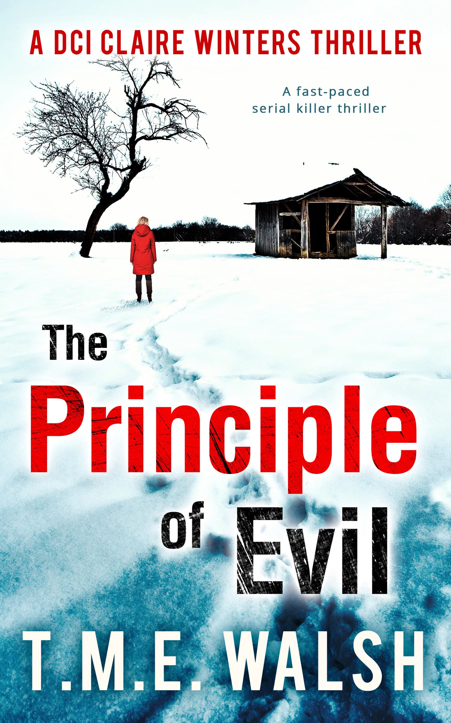 The Principle Of Evil (DCI Claire Winters crime series) Contemporary literature