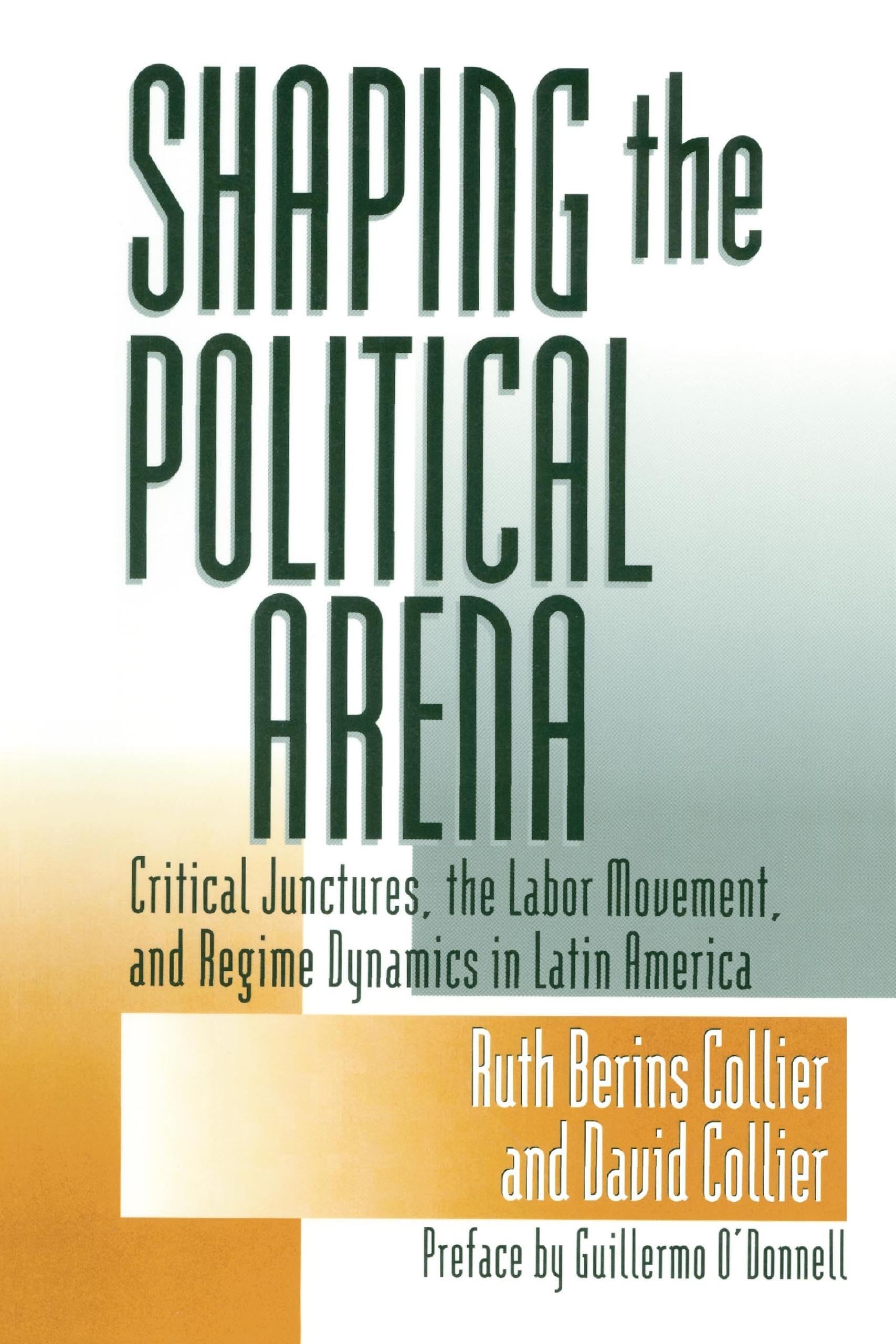 Shaping the Political Arena (Kellogg Institute Democracy and Development) Law