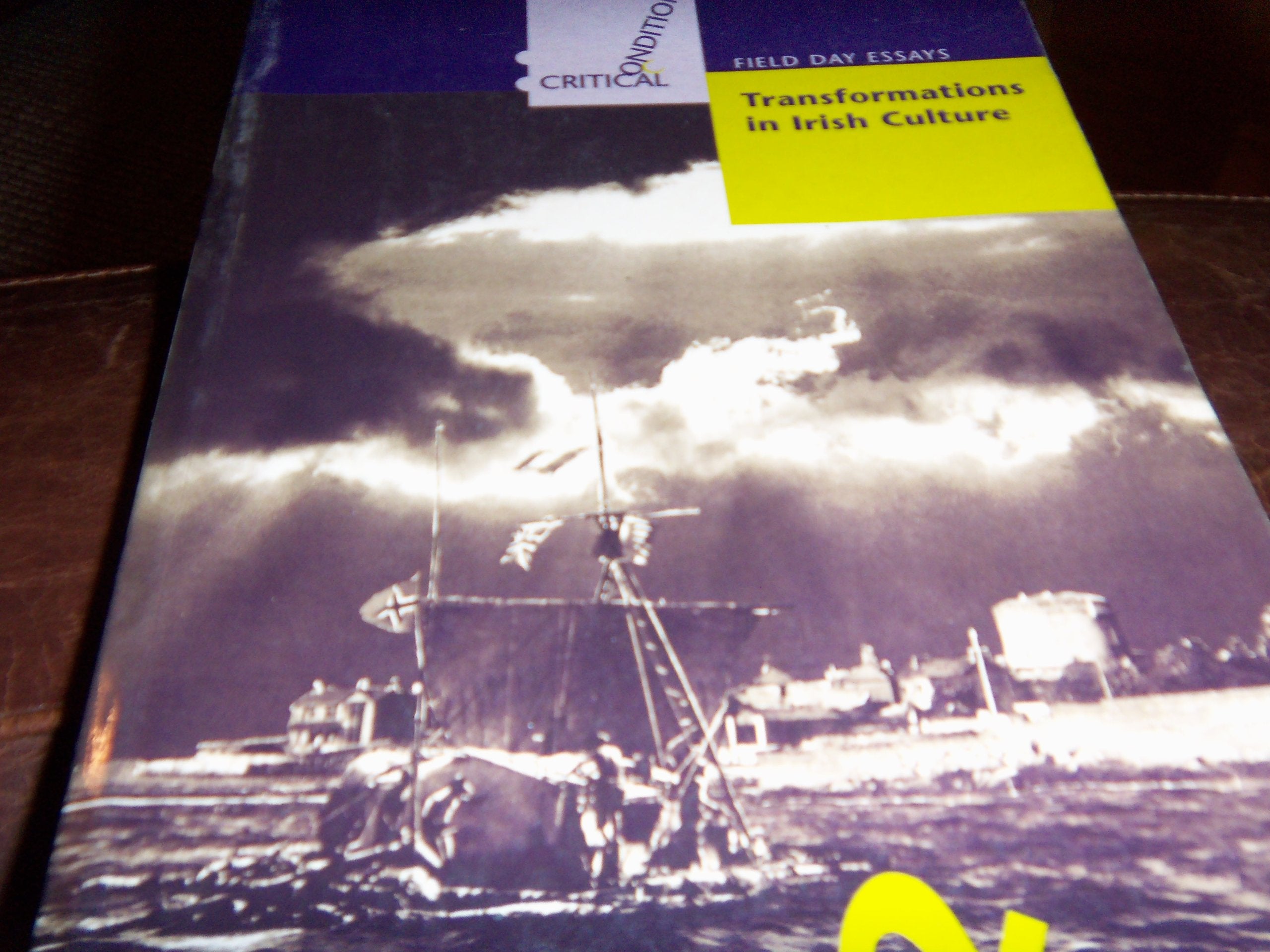 Transformations in Irish Culture (Critical Conditions) Politics & History