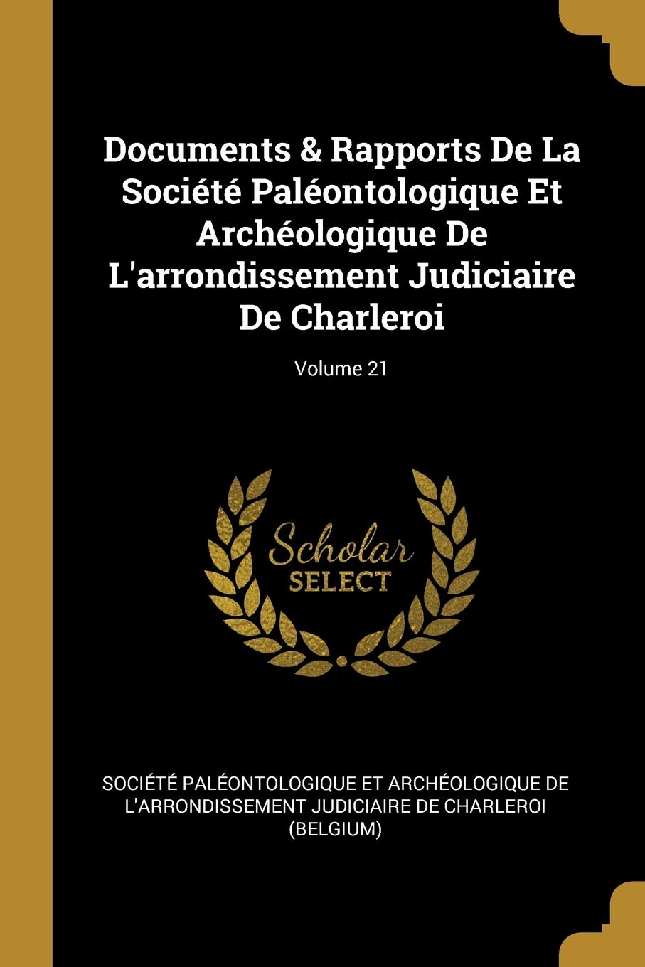 Documents & Rapports De La Société Paléontologique Et Archéologique De L'arrondissement Judiciaire De Charleroi; Volume 21 Non-fiction