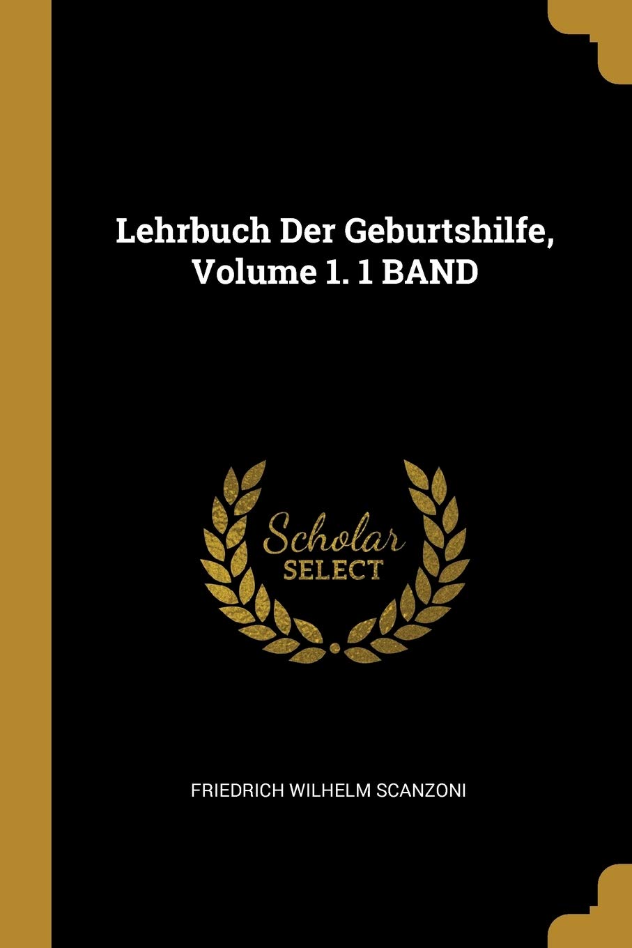 Lehrbuch Der Geburtshilfe, Volume 1. 1 BAND Learning & Reference
