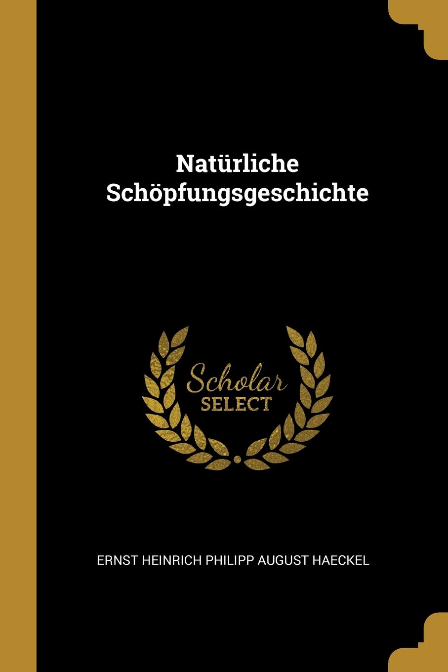 Natürliche Schöpfungsgeschichte Business & Technology