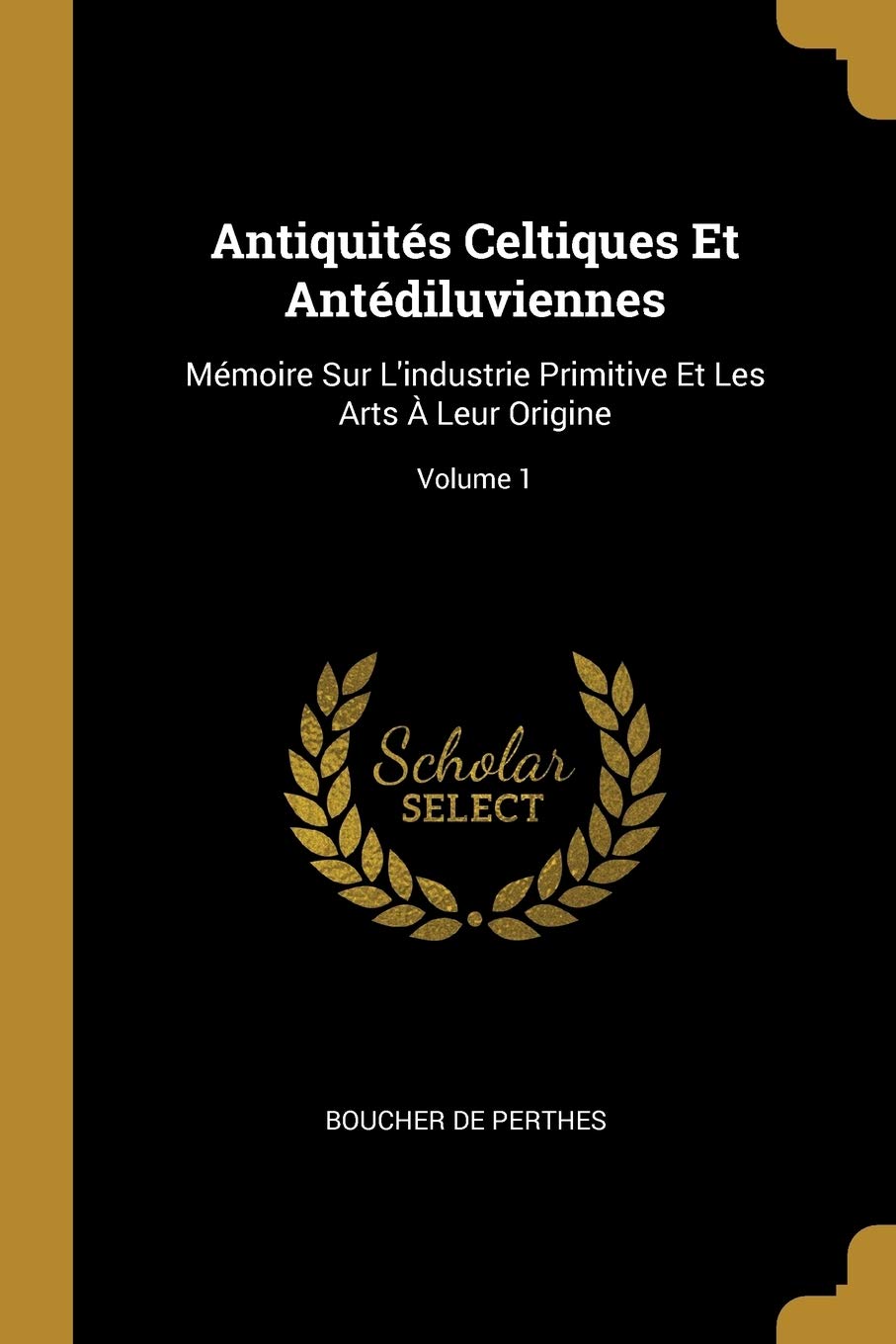 Antiquités Celtiques Et Antédiluviennes: Mémoire Sur L'industrie Primitive Et Les Arts À Leur Origine; Volume 1 Politics & History
