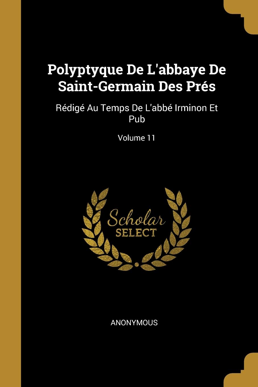 Polyptyque De L'abbaye De Saint-Germain Des Prés: Rédigé Au Temps De L'abbé Irminon Et Pub; Volume 11 book