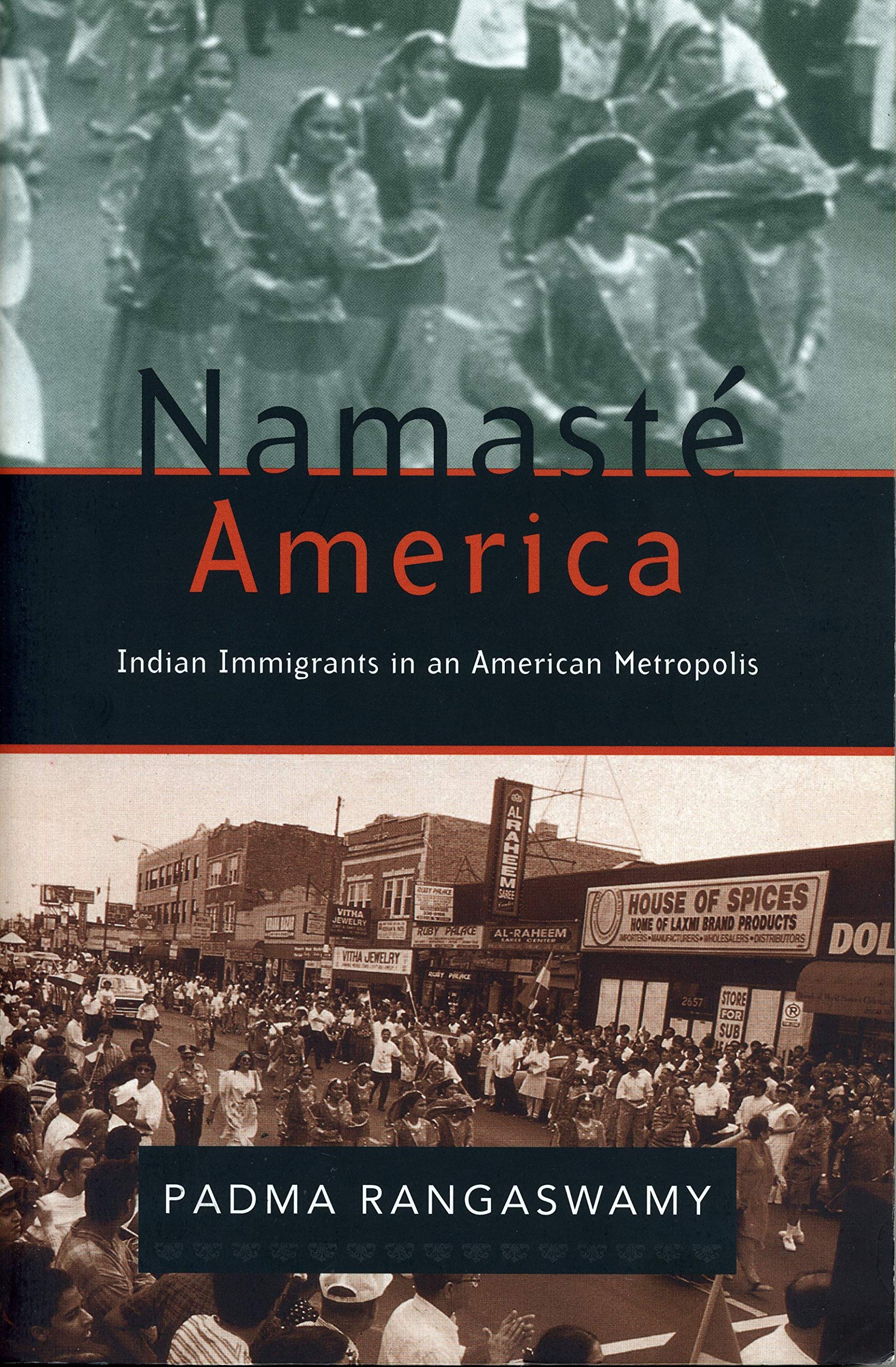 Namaste America: Indian Immmigrants in an American Metropolis Books